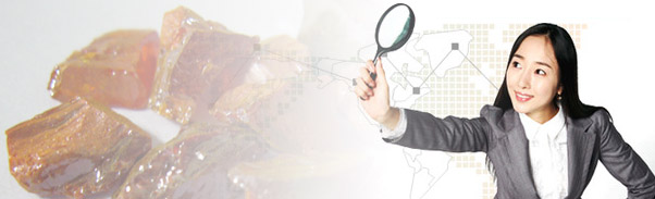 searching